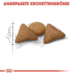 Royal Canin Indoor Appetite Control - Katzenfutter 10 Royal Canin Indoor Appetite Control - Katzenfutter -Almo Trixie Verkaufe royal canin indoor appetite control kattenvoer 127229 0500 none