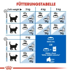 Royal Canin Indoor Appetite Control - Katzenfutter 13 Royal Canin Indoor Appetite Control - Katzenfutter -Almo Trixie Verkaufe royal canin indoor appetite control kattenvoer 127238 0500 none