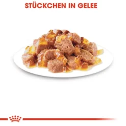 Royal Canin Instinctive In Gelee - Katzenfutter -Almo Trixie Verkaufe royal canin instinctive in jelly kattenvoer 127915 0500 none