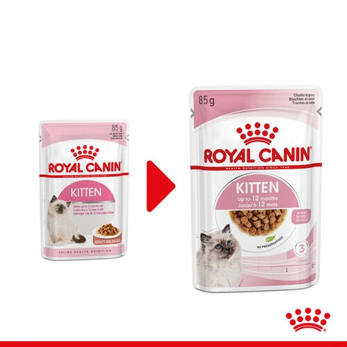Royal Canin Kitten In Gravy - Katzenfutter 1 Royal Canin Kitten In Gravy - Katzenfutter