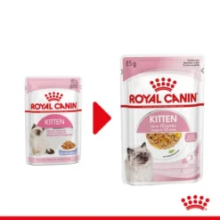 Royal Canin Kitten In Jelly - Katzenfutter -Almo Trixie Verkaufe royal canin kitten in jelly kattenvoer 207116 0500 none