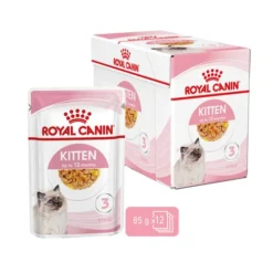 Royal Canin Kitten In Jelly - Katzenfutter