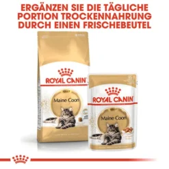 Royal Canin Maine Coon Adult Wet - Katzenfutter -Almo Trixie Verkaufe royal canin maine coon adult wet kattenvoer 126035 0500 none