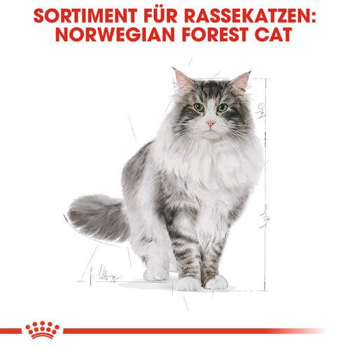 Royal Canin Norwegian Forest Cat Adult - Katzenfutter – Bild 4