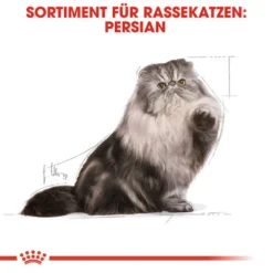 Royal Canin Persian Adult Wet - Katzenfutter -Almo Trixie Verkaufe royal canin persian adult wet kattenvoer 126065 0500 none