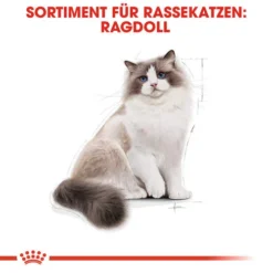 Royal Canin Ragdoll Adult - Katzenfutter -Almo Trixie Verkaufe royal canin ragdoll adult kattenvoer 125087 0500 none