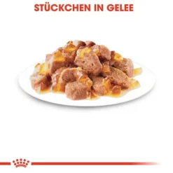 Royal Canin Sterilised In Jelly - Katzenfutter 12 Royal Canin Sterilised In Jelly - Katzenfutter -Almo Trixie Verkaufe royal canin sterilised in jelly kattenvoer 128144 0500 none