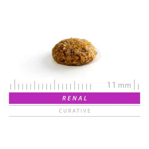 Sanimed Renal, Liver And Stones Cat 2 Sanimed Renal, Liver And Stones Cat – Bild 2