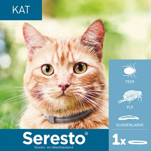 Seresto Für Katzen 2 Seresto Für Katzen – Bild 2
