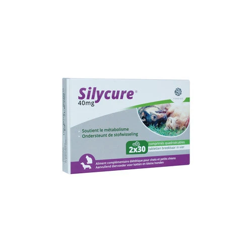 Silycure 2 Silycure – Bild 2