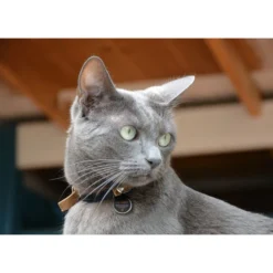 Spotted! Pro Dog & Cat -Almo Trixie Verkaufe spotted pro dog cat 166915 0500 none