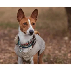 Spotted! Pro Dog & Cat -Almo Trixie Verkaufe spotted pro dog cat 166918 0500 none