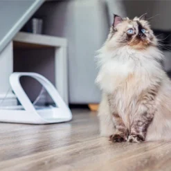 Surefeed Connect Mikrochip-Futterautomat -Almo Trixie Verkaufe surefeed microchip voerbak connect 221224 0500 none