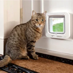 SureFlap Mikrochip Katzenklappe 6 SureFlap Mikrochip Katzenklappe -Almo Trixie Verkaufe sureflap microchip kattenluik 219484 0500 none