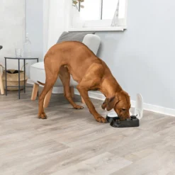 Trixie Doppel-Futterautomat TX2 5 Trixie Doppel-Futterautomat TX2 -Almo Trixie Verkaufe trixie dubbele voederautomaat tx2 170914 0500 none