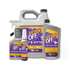 Urine Off Katze