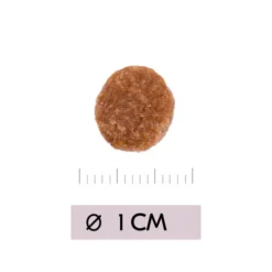 Vetality Renal - Katzenfutter 6 Vetality Renal - Katzenfutter -Almo Trixie Verkaufe vetality renal kattenvoer 195458 0500 none