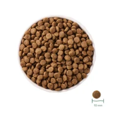 Yarrah Bio-Katzenfutter Grain-Free Für Sterilisierte Katzen 8 Yarrah Bio-Katzenfutter Grain-Free Für Sterilisierte Katzen -Almo Trixie Verkaufe yarrah droogvoer gesteriliseerde kat graanvrij bio 201167 0500 none