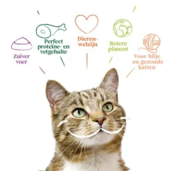 Yarrah - Katzenfutter Paté Rind Mit Chicorée Bio -Almo Trixie Verkaufe yarrah pat kat kuipje met rund bio 201059 0500 none