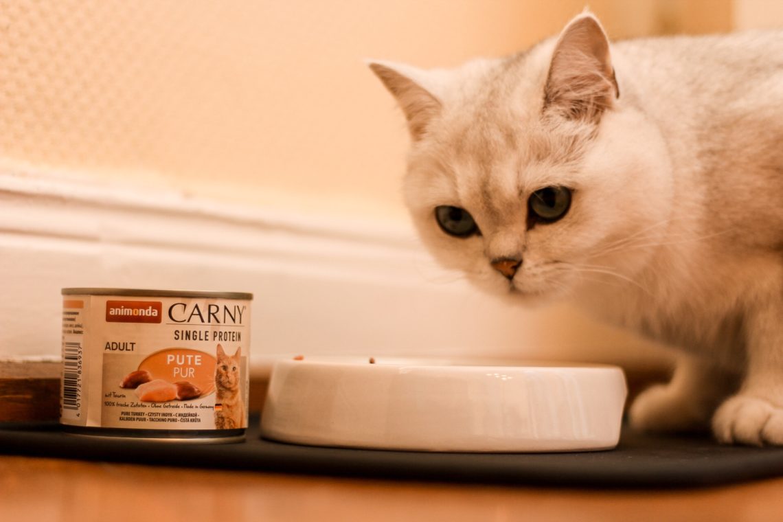 Almo Trixie Verkaufe -Almo Trixie Verkaufe img 7862 1140x760 1